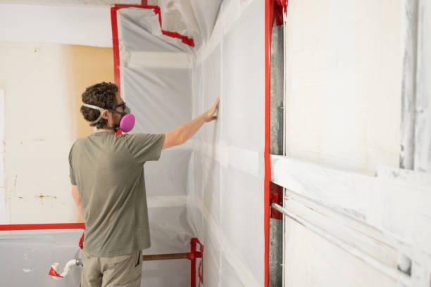 Best Mold Documentation for Insurance Claims  in , IN