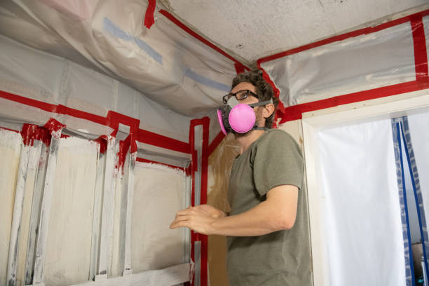 Best Mold Removal for HVAC Installations  in , IN