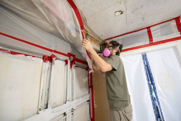 Best Mold Damage Restoration  in , IN