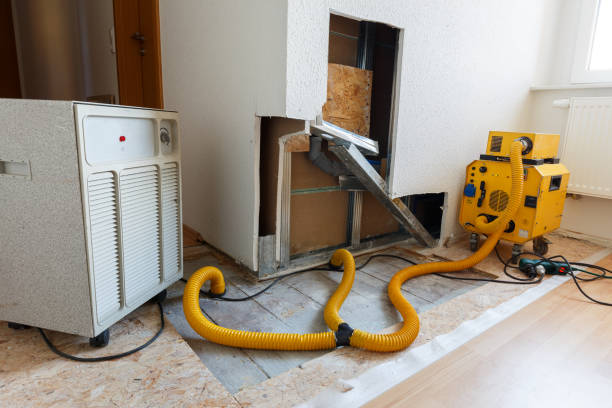 Best Mold Prevention Services  in , IN