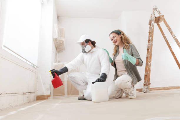 Best Crawl Space Mold Remediation  in , IN