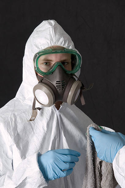 Best Dehumidification Services  in , IN